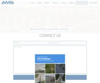 Amswebdesign.com(Michigan Web Design and Development serving Metro Detroit) Screenshot