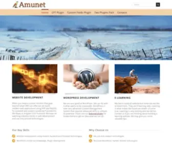 Amunet.biz(Custom post types and custom fields for Avada theme) Screenshot