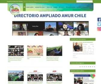 Amur.cl(Asociación de Municipios Rurales) Screenshot