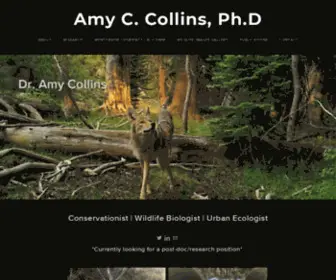 Amycollinsecology.com(Amy C) Screenshot