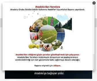 Anadolugrubu.com.tr(Anadolu Grubu) Screenshot