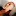 Anahiayala.com Favicon