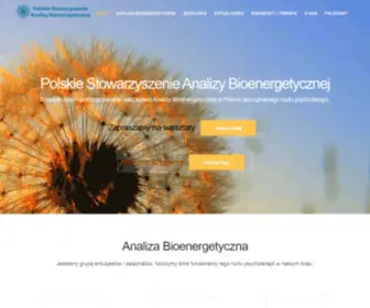 Analizabioenergetyczna.org(Polskie Stowarzyszenie Analizy Bioenergetycznej) Screenshot