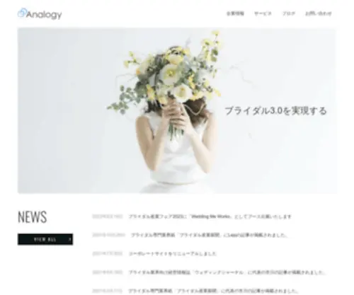 Analogy.co.jp(株式会社アナロジー) Screenshot