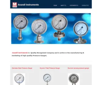 Anandiinstruments.com(Anandi Instruments) Screenshot