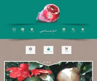 Anarsahebi.ir(انارصاحبی) Screenshot
