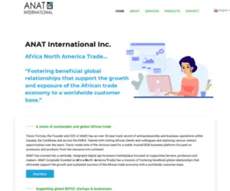 Anatinternational.com(Responsible African Development & Consulting) Screenshot