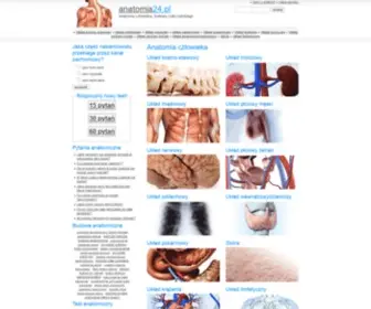 Anatomia24.pl(CzĹowiek) Screenshot