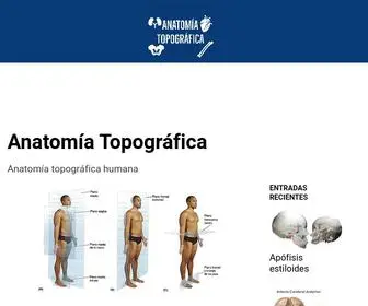 Anatomiatopografica.com(Humano)) Screenshot