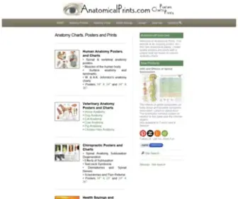 Anatomicalprints.com(Anatomical Prints) Screenshot