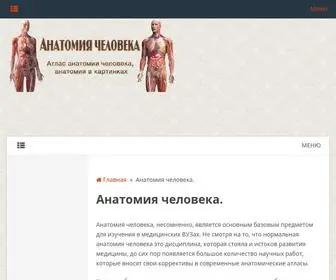 Anatomiya-Atlas.ru(Анатомия в картинках) Screenshot