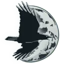 Anchoragezen.com Favicon