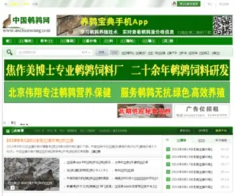 Anchunwang.com(中国鹌鹑网) Screenshot