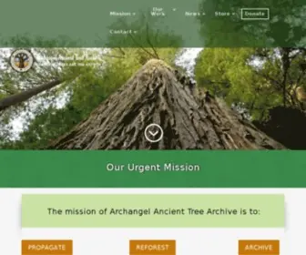 Ancienttreearchive.org(Archangel Ancient Tree Archive) Screenshot