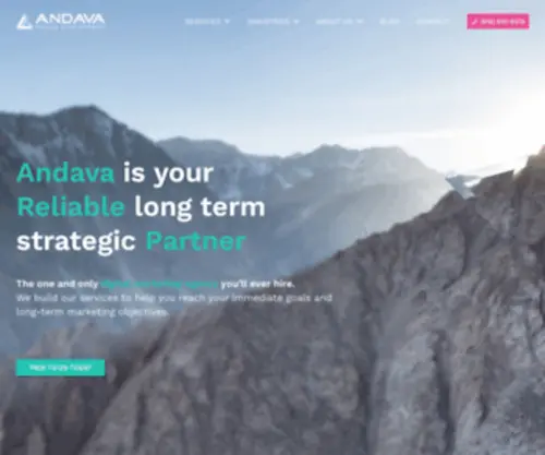 Andava.com(Analytics Company) Screenshot