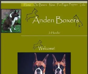 Andenboxers.com(Anden Boxers) Screenshot