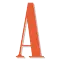 Andersonian.com Logo