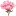 Andreadrugay.com Favicon