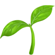Andresmadrigal.com Favicon
