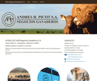 Andrespicot.com.ar(AHP Andrés Picot Negocios Ganaderos S.A) Screenshot