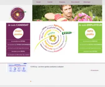 Anefa-Emploi.org(Redirection) Screenshot