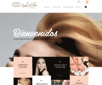 Aneletchuygroupe.com(Salones de Belleza ANEL ET CHUY) Screenshot
