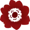 Anemonechicago.com Favicon