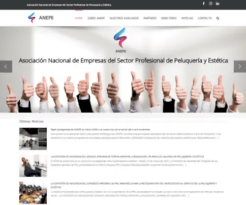 Anepe.es(Asociación Nacional de Empresas del Sector Profesional de Peluquería y Estética) Screenshot