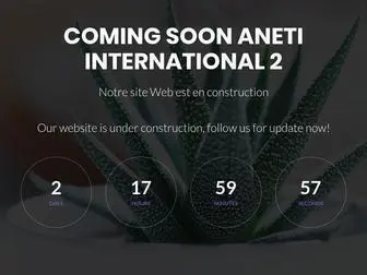 Aneti-International.tn(Aneti internationnal) Screenshot