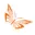 Angelcollection.in Favicon