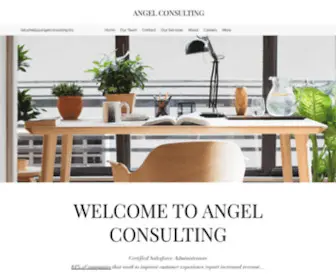 Angelconsulting.biz(Salesforce) Screenshot