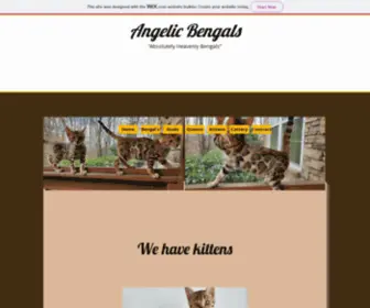 Angelicbengals.com(Bengal kittens for sale) Screenshot