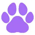 Angelpawsadvocates.com Favicon