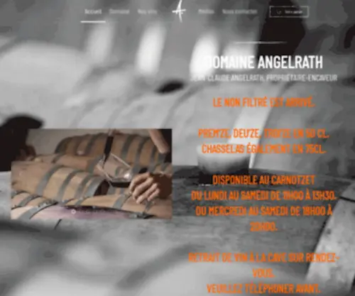 Angelrath.ch(Angelrath Vin) Screenshot