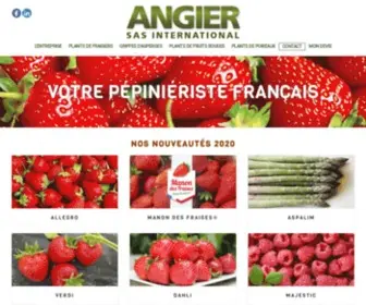 Angier-International.com(Angier International) Screenshot