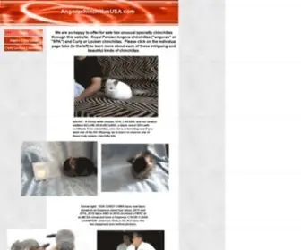 Angorachinchillasusa.com(Chinchillas) Screenshot