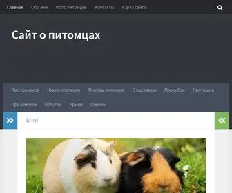 Angorki.ru(Сайт) Screenshot