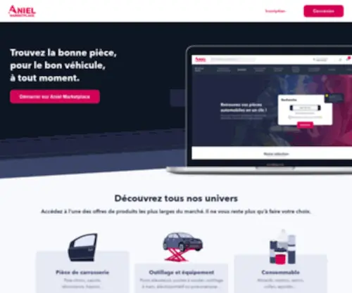 Aniel.fr(Site institutionnel) Screenshot