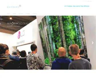 Aniframe.com(We frame out new brand experience) Screenshot