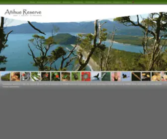 Anihuereserve.com(Anihue reserve) Screenshot