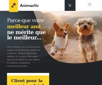 Animactiv.com(Bienvenue chez Animactiv) Screenshot