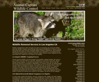 Animalcapturewildlifecontrol.com(Wild Animal Capture & Removal) Screenshot