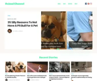 Animalchannel.co(Animal Channel) Screenshot