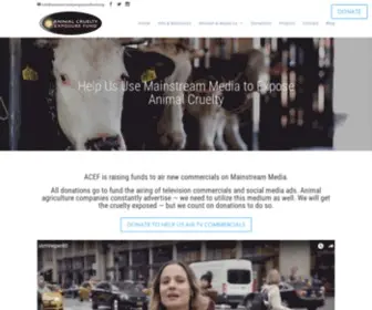 Animalcrueltyexposurefund.org(Animal Cruelty Exposure Fund) Screenshot