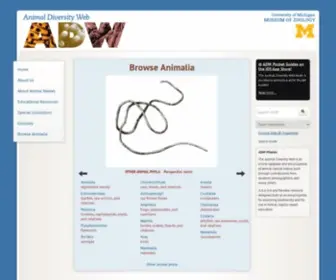 Animaldiversity.org(Nginx) Screenshot