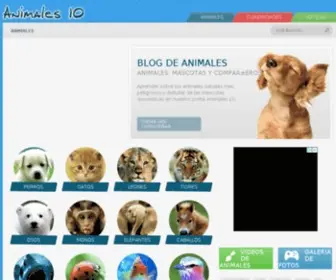 Animales10.com(Mascotas) Screenshot