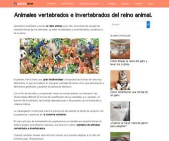 Animalesdavid.com(Valoración) Screenshot