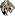 Animalesraross.com Favicon