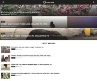 Animalfamilys.com(Animal Family) Screenshot