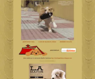 Animalhelp.es(Index) Screenshot